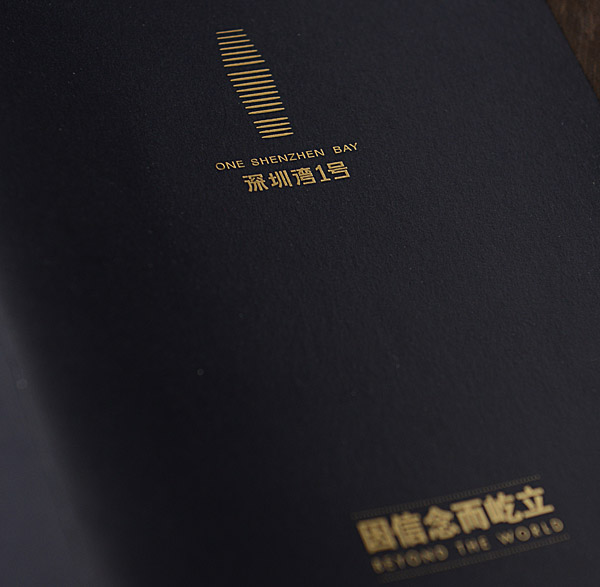 深圳湾1号